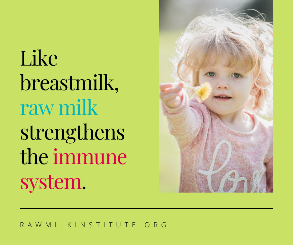 Copy of raw milk immune system.png