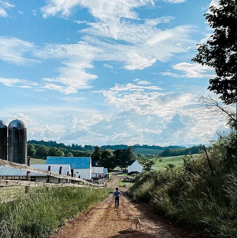 farm and sky.jpg
