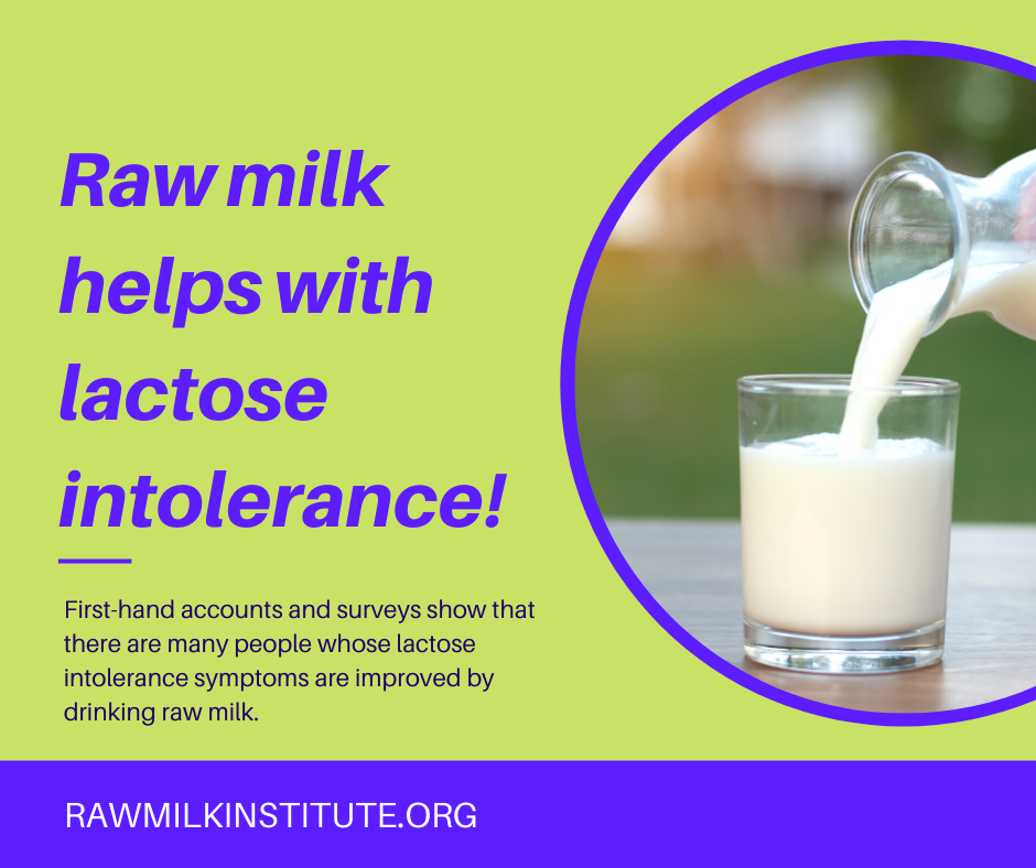 Raw Milk and Lactose Intolerance — Raw Milk Institute