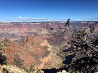 Episode 10 - Death And Ghosts In The Grand Canyon episode artwork