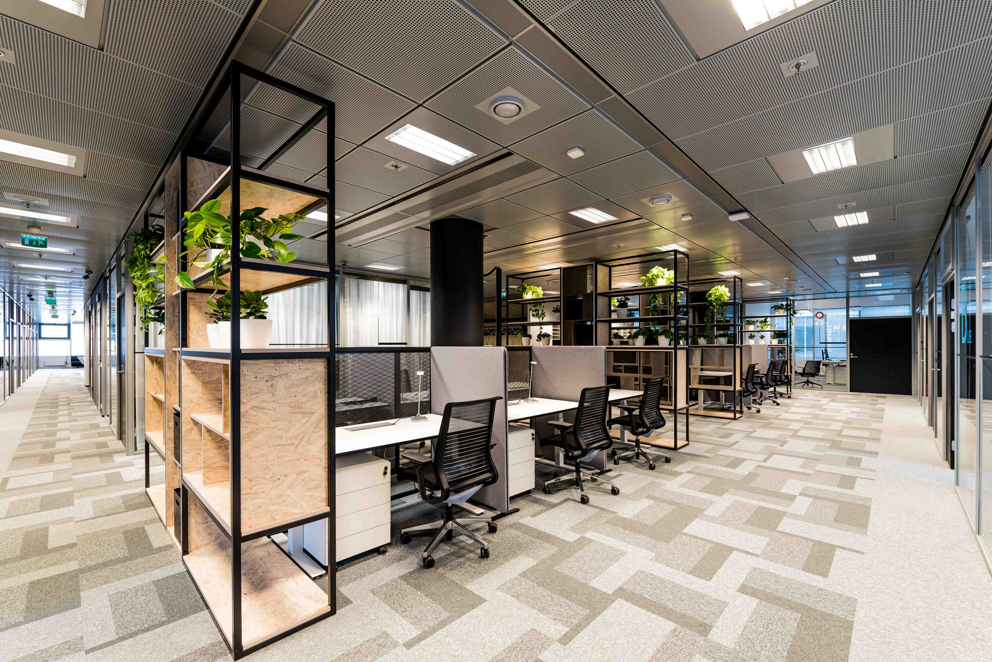 office_roka_novinka2.jpg