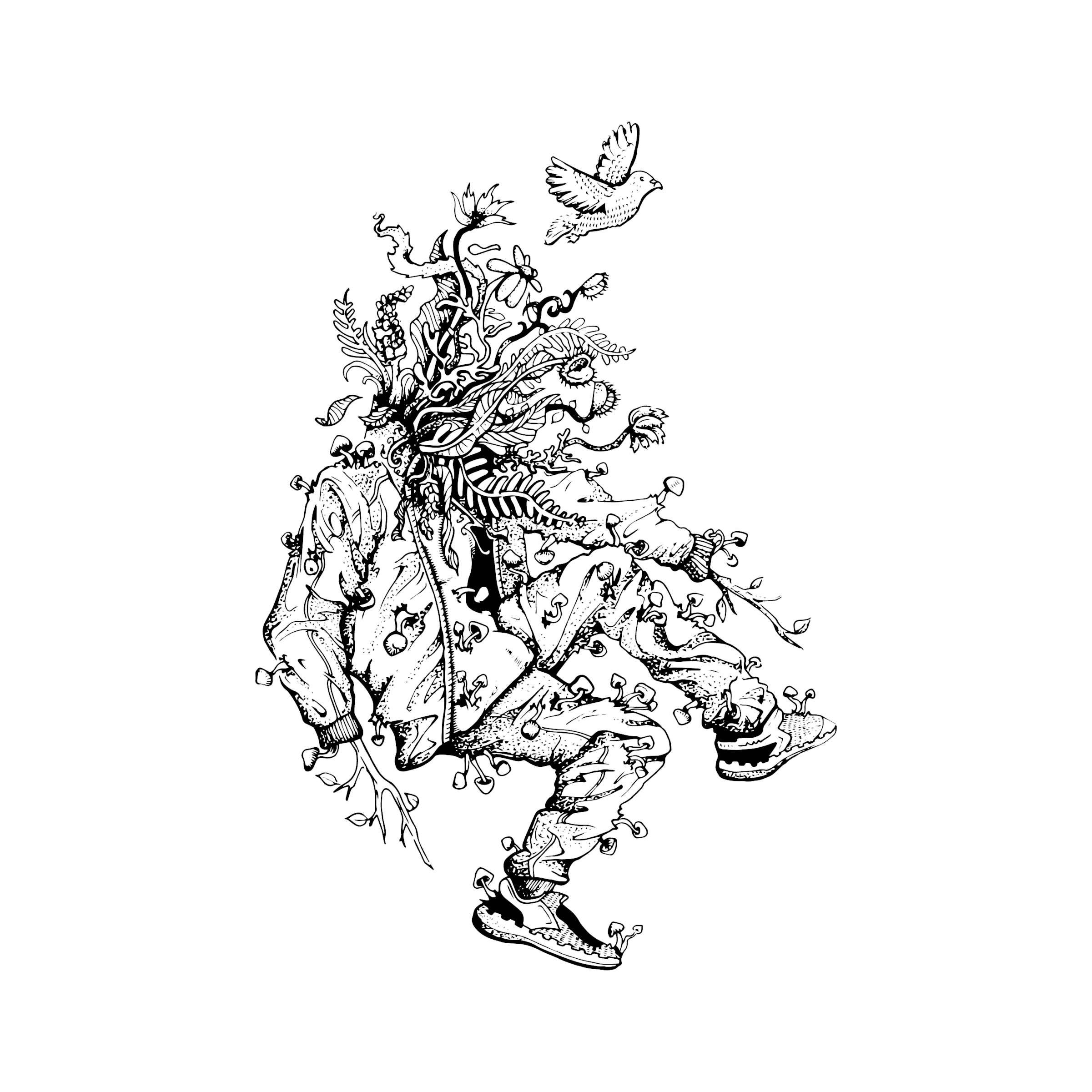 JSD-LABS-NATURE-ILLUSTRATIONS-THUMBNAIL-07.png