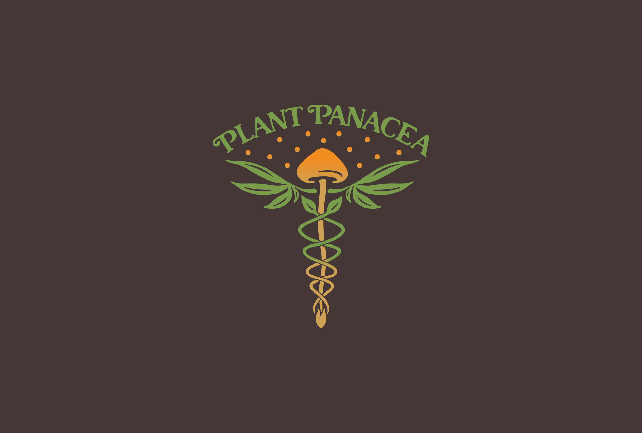 PLANT-PANACEA-WEB-01.png