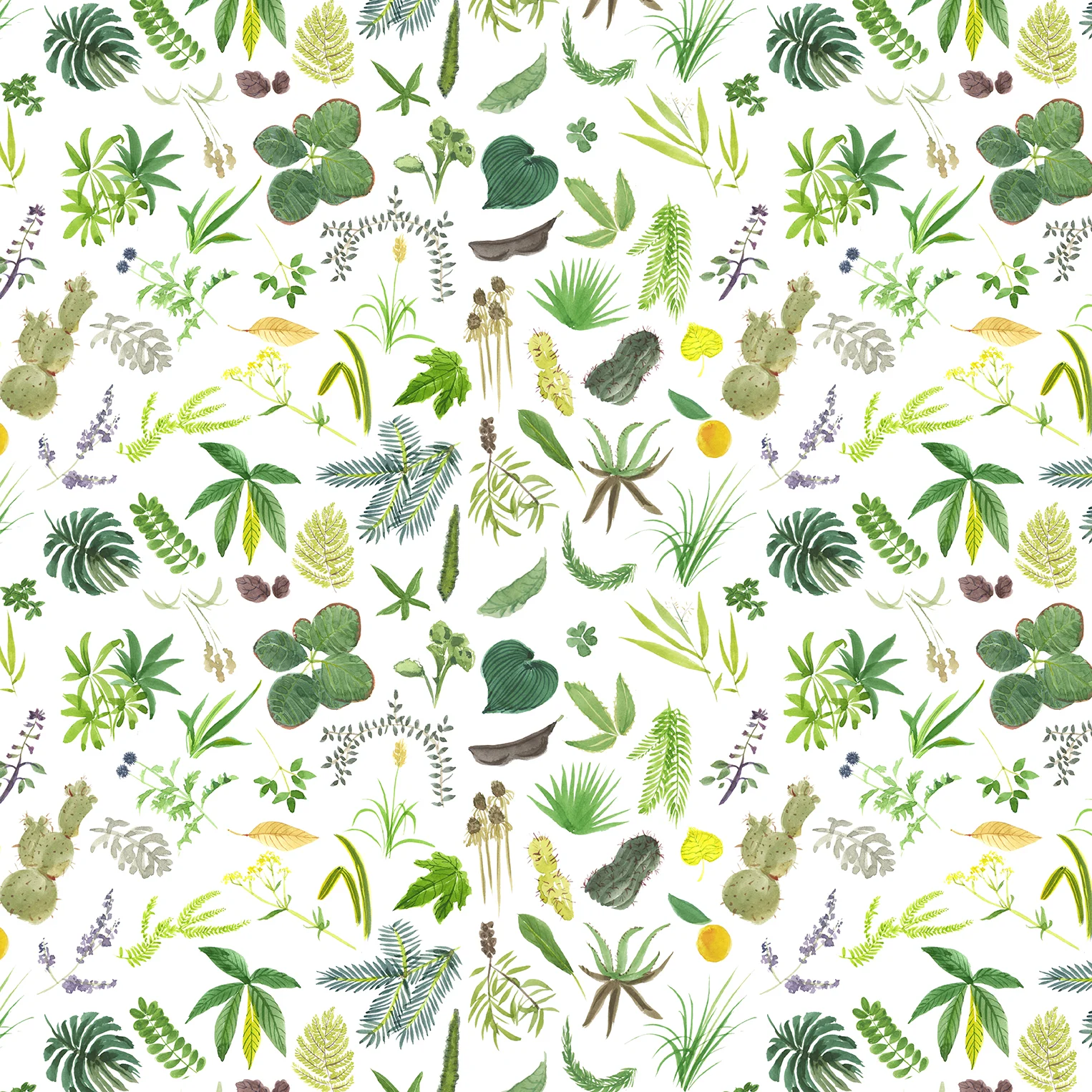 11.botanical pattern.jpg