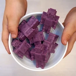 blueberry-coconut-gummies copy.jpeg