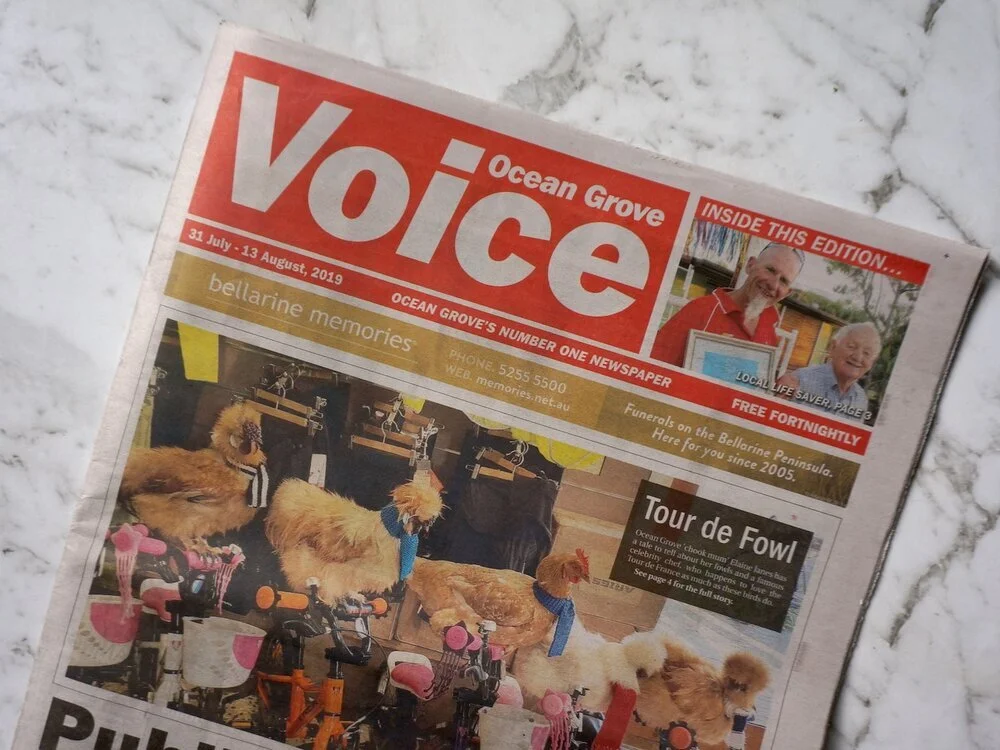 Ocean Grove Voice Newspaper
