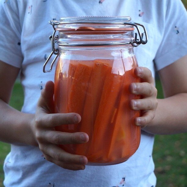 Fermented carrot sticks are one of the best ways to introduce your child to gut-loving foods. They're also easy to make. 
Some tips when introducing fermented foods to your child:

🥕 Try homemade rather than commercially made so you can alter the fl