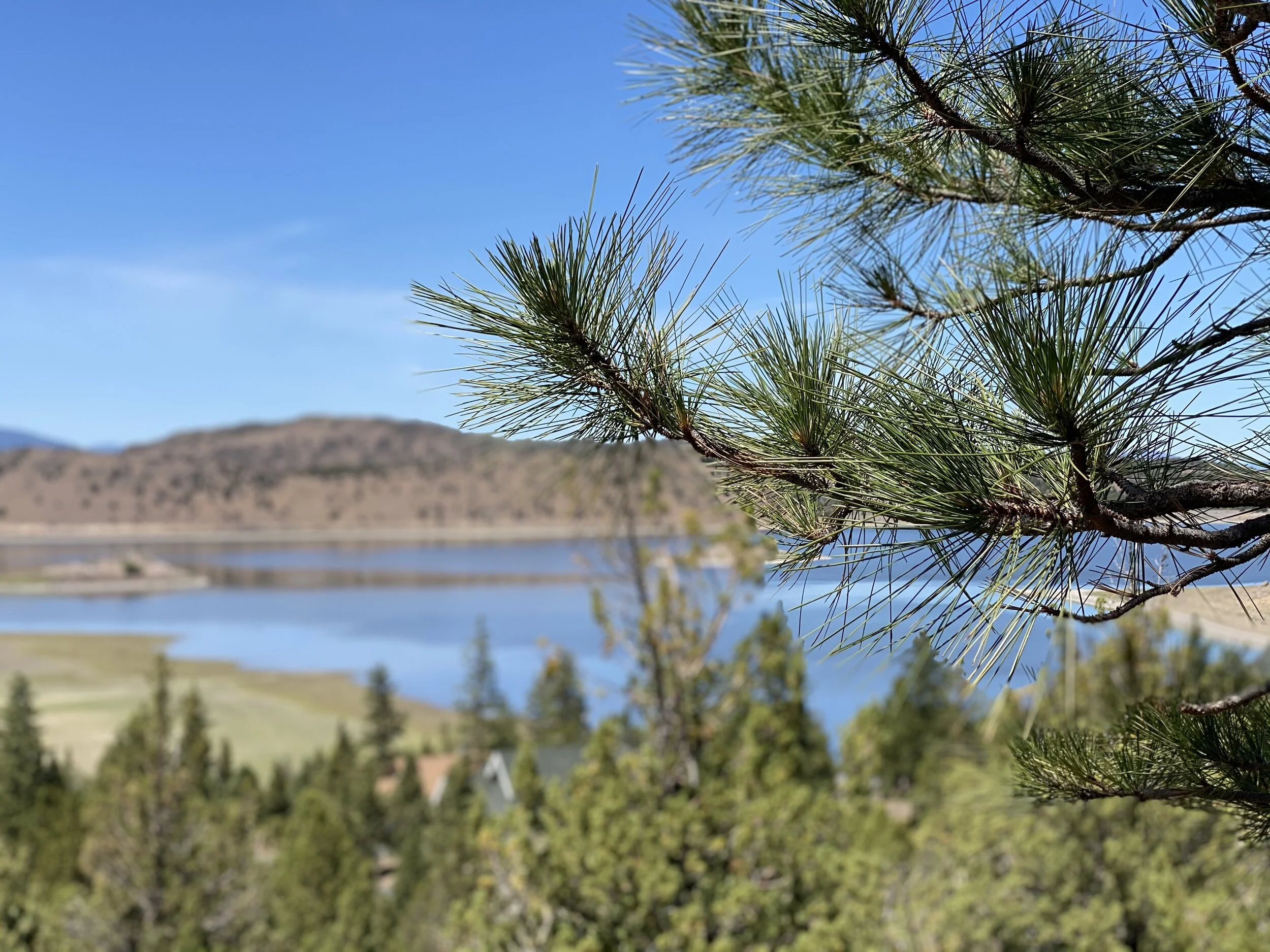 Hill Drive, Lake Shastina, Weed CA 96094