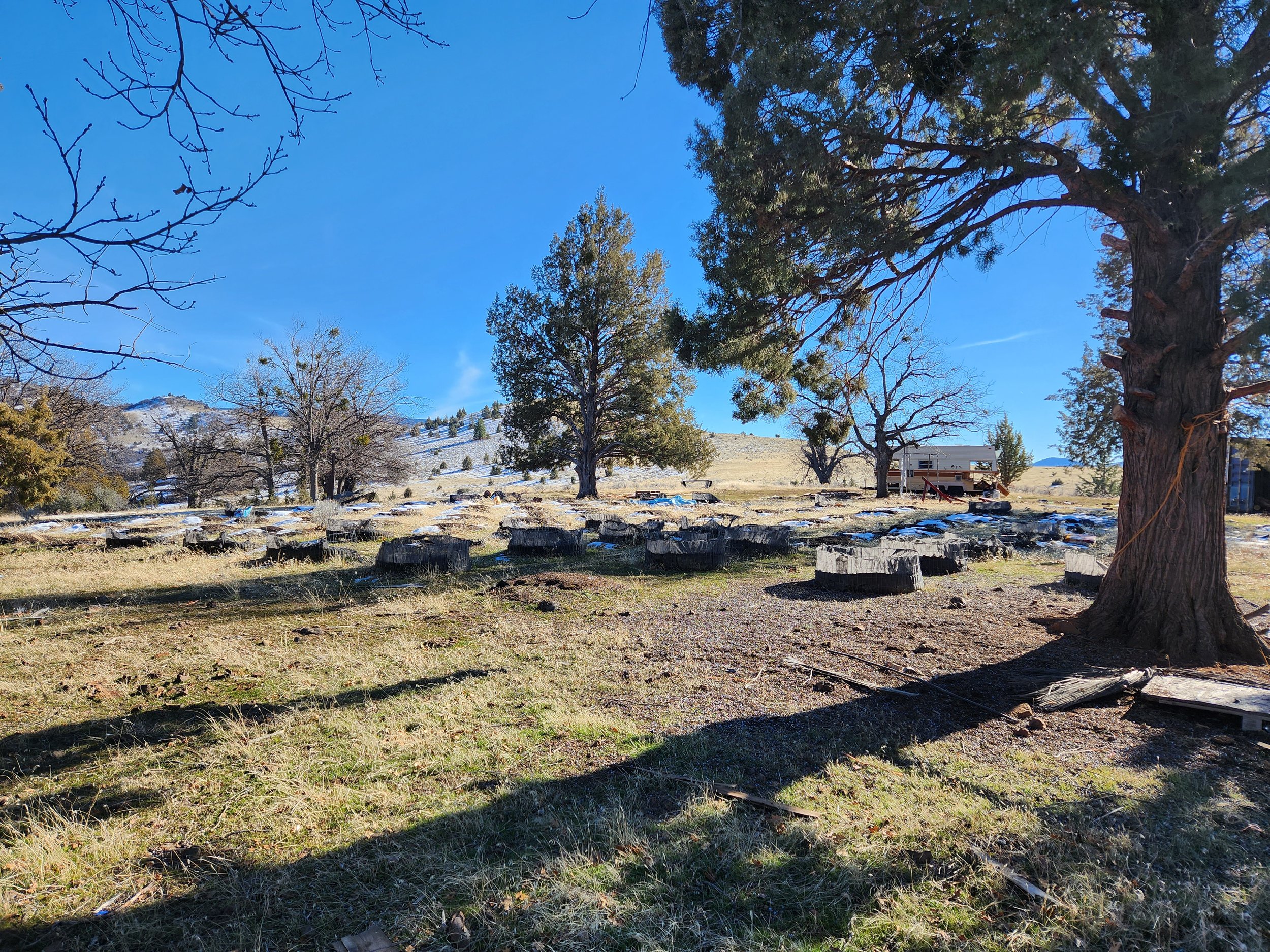 Lot 54 garden (2) (1).jpg