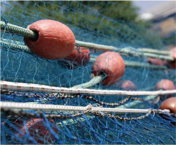 Ta vare på naturen - og de som bruker den