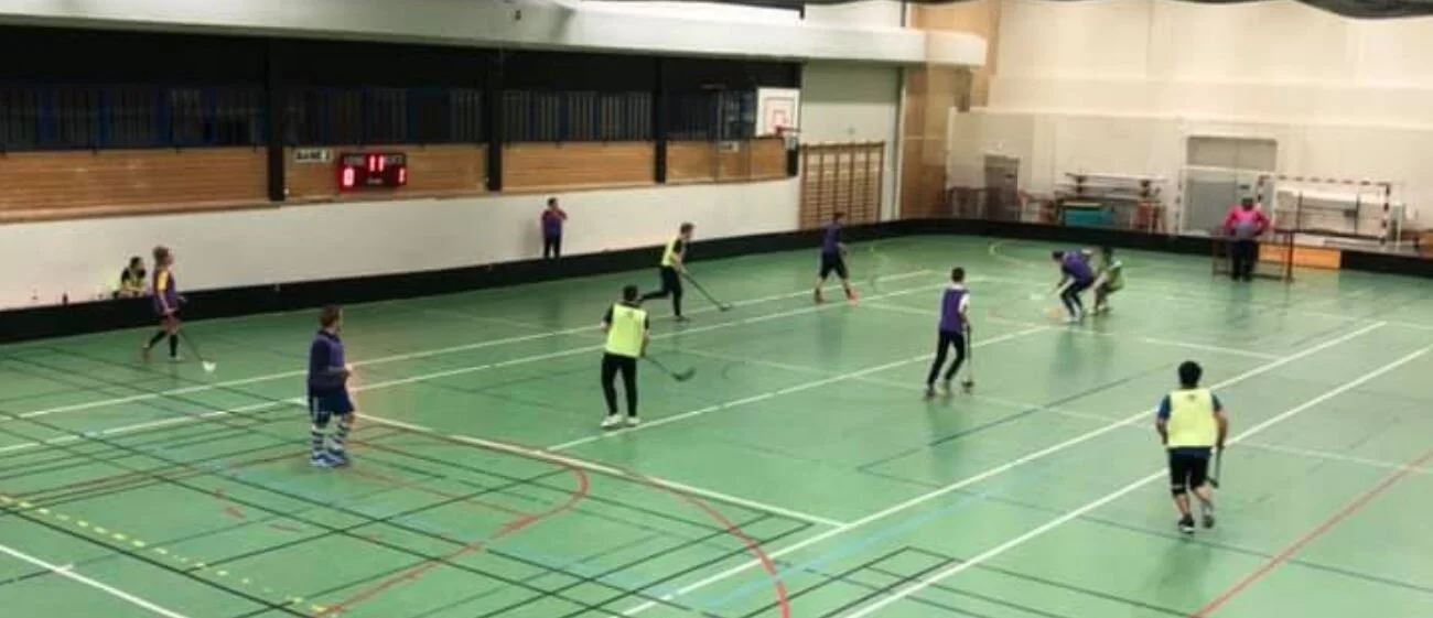 TLP 2018: vedtok å skifte underlaget