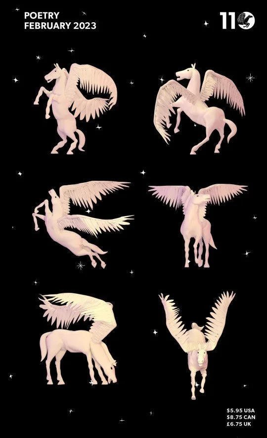 "Skeletons" and "Flesh"