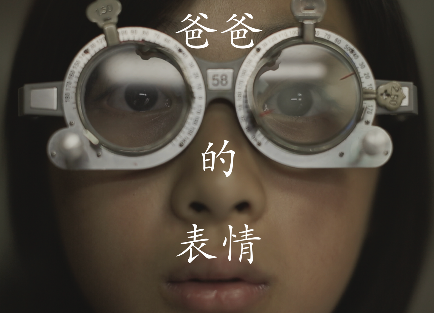 Lianhe Zaobao · Pa's Expressions