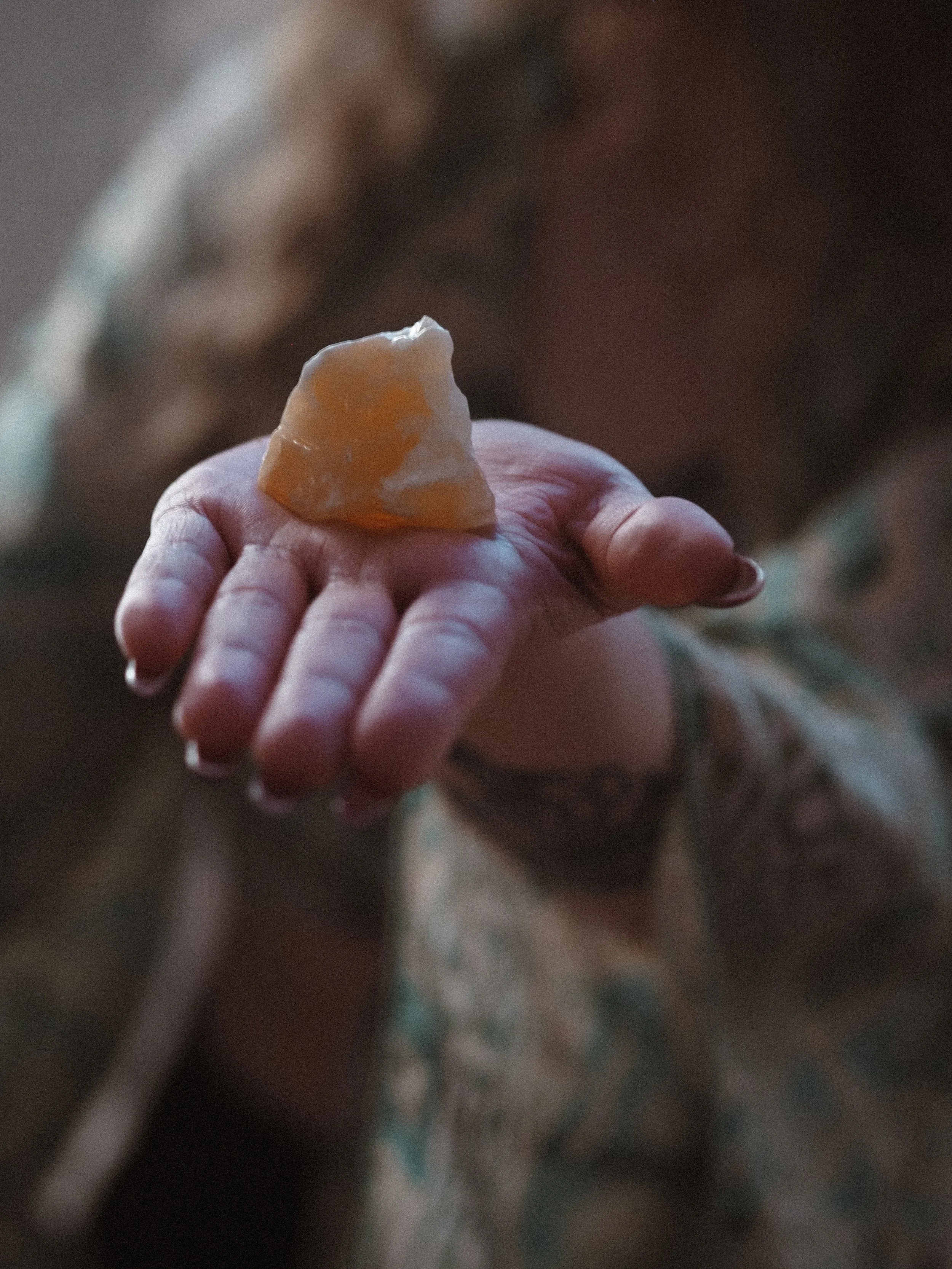 Photo 17.1.2026, 10.11.47 AM (1).jpg