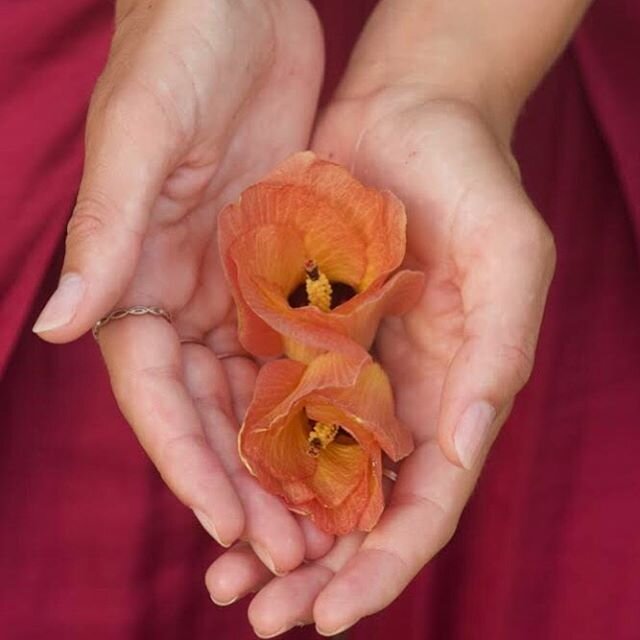 Zeit f&uuml;r Weiblichkeit: &uuml;ber Sexualit&auml;t, Selbstliebe und erf&uuml;lltes Frausein in der heutigen Zeit 🌹

In der aktuellen Podcastfolge gibt es ein wundersch&ouml;nes Interview mit Tantra Yoga Lehrerin Christiane Ameya. Sie ist au&szlig