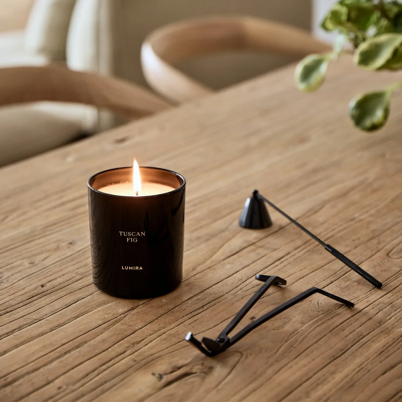 Lumira Tuscan Fig Candle