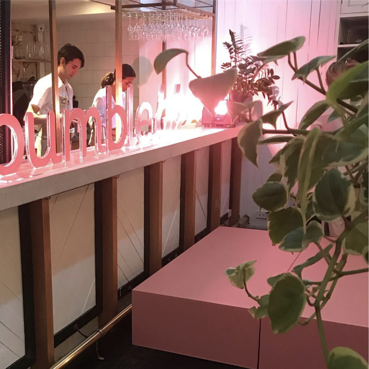 A bar with two staff members behind the counter, illuminated with pink lighting. There's a decorative sign that says 'Dumble' on the counter, wine glasses hanging above, and a plant in the foreground.