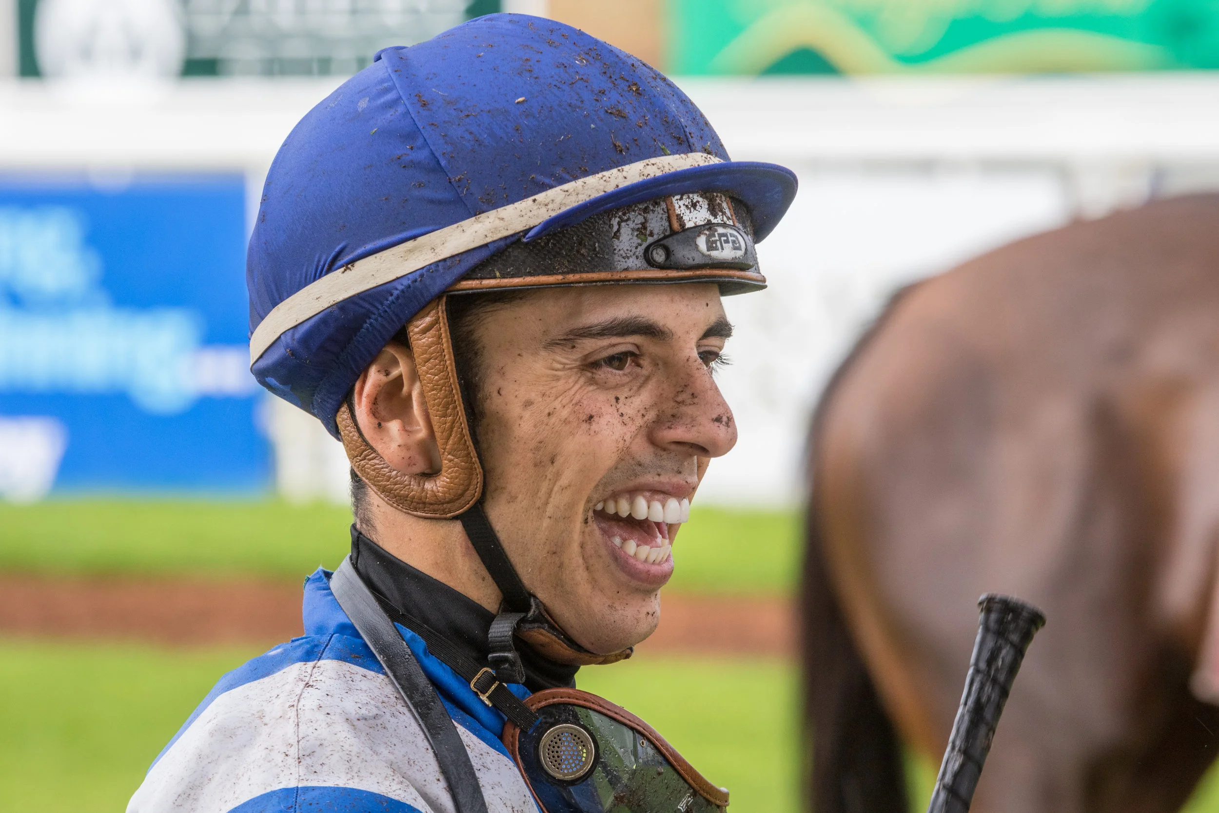 For Want of a Horse (14 of 19).jpg