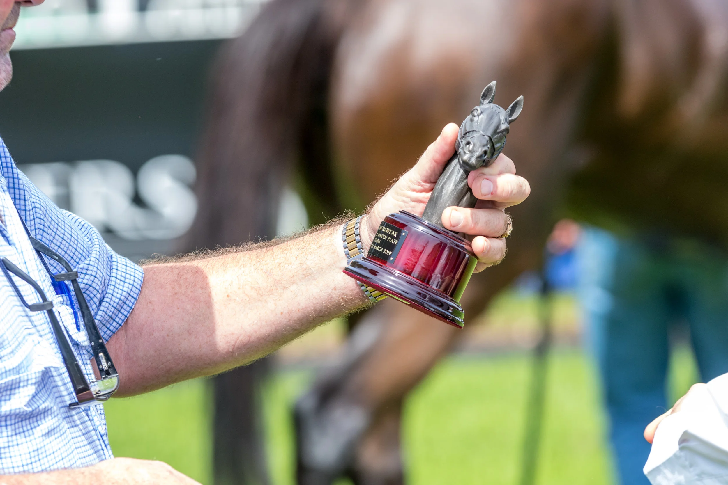 For Want of a Horse (19 of 19).jpg