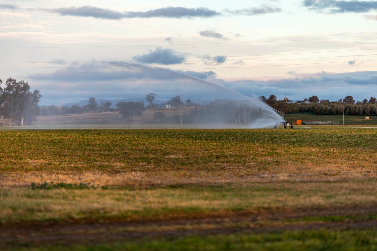 Irrigation water being used to water crops in the Namoi Valley
