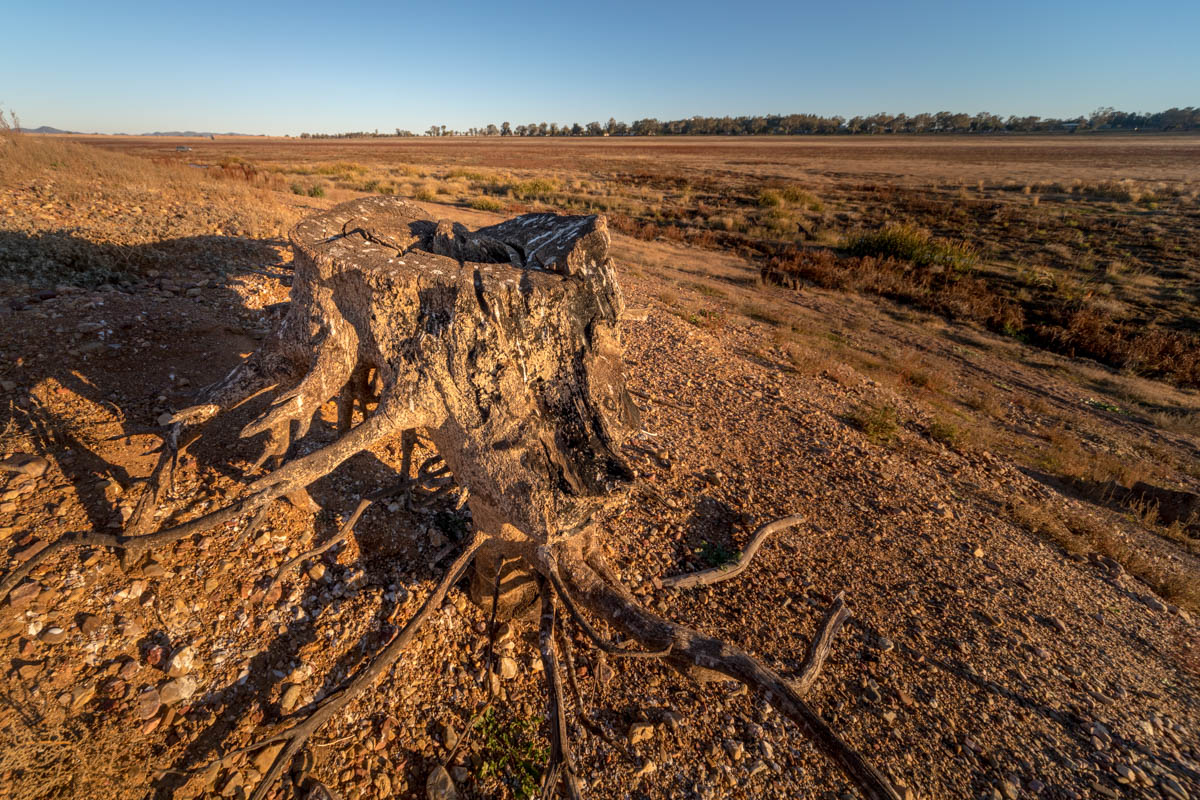 The expanse of land once covered by the lake and a tree stump that would have originally been submerged following the 1960 completion of the dam.