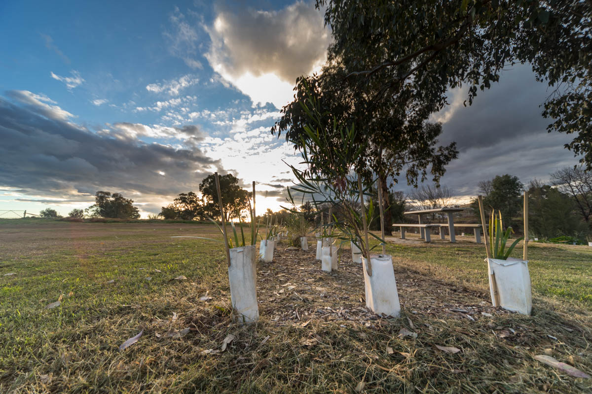 More human intervention as the sun sets over the Namoi Valley.