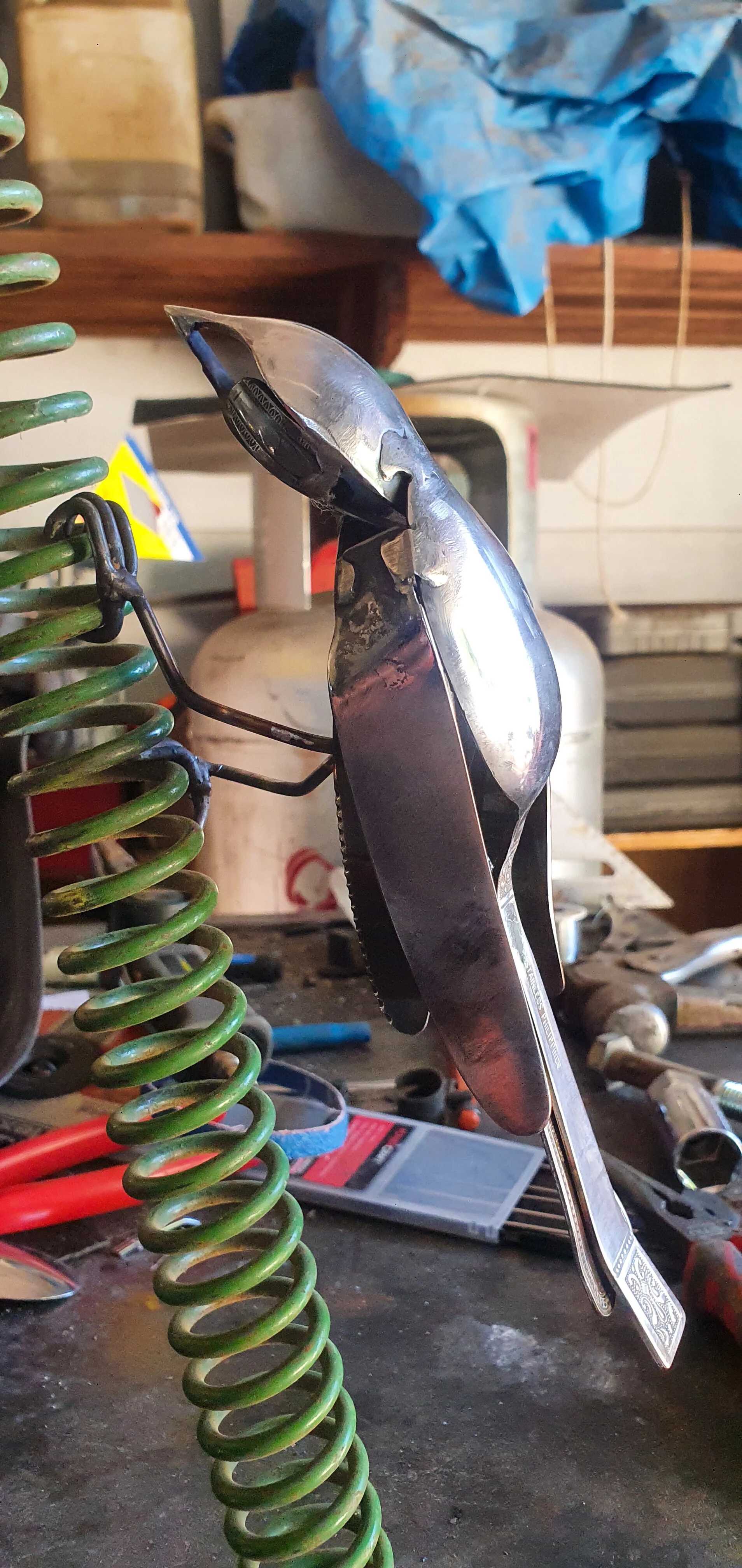 White Throated Tree Creeper