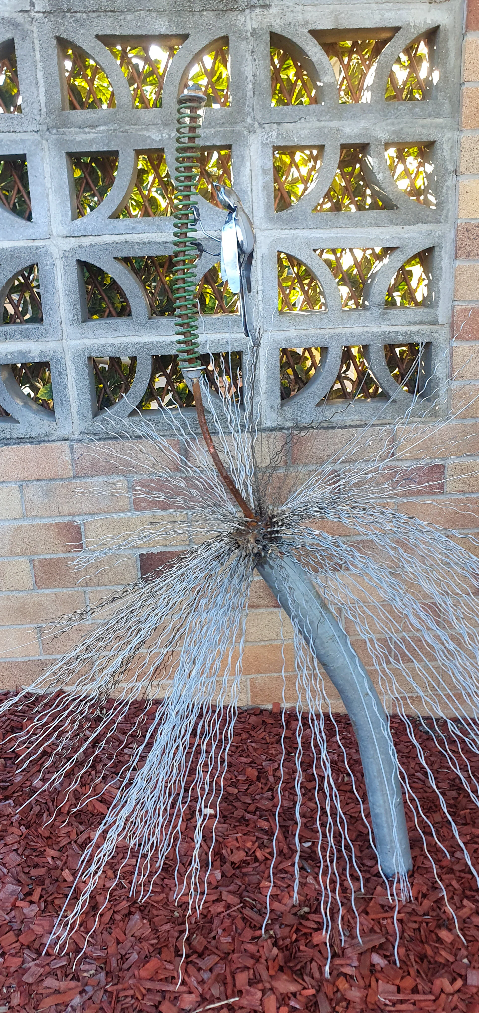 Grass Tree with White Throated Tree Climber