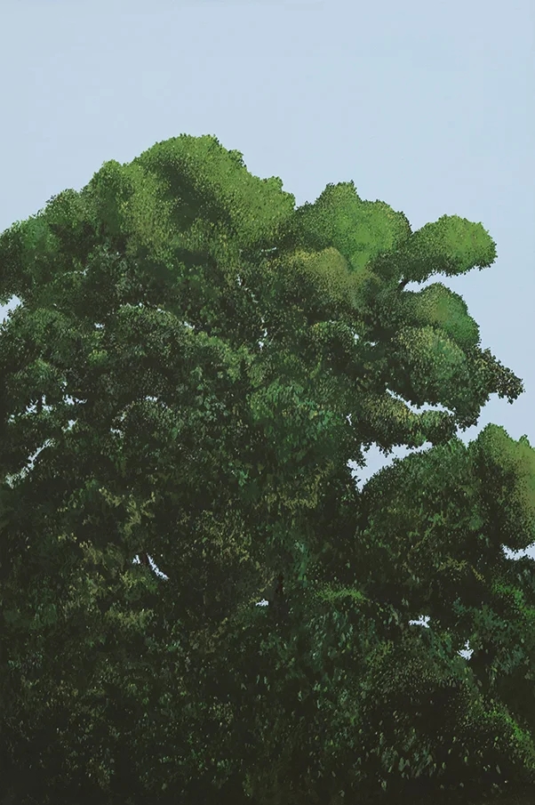 Treepresentations-3.jpg