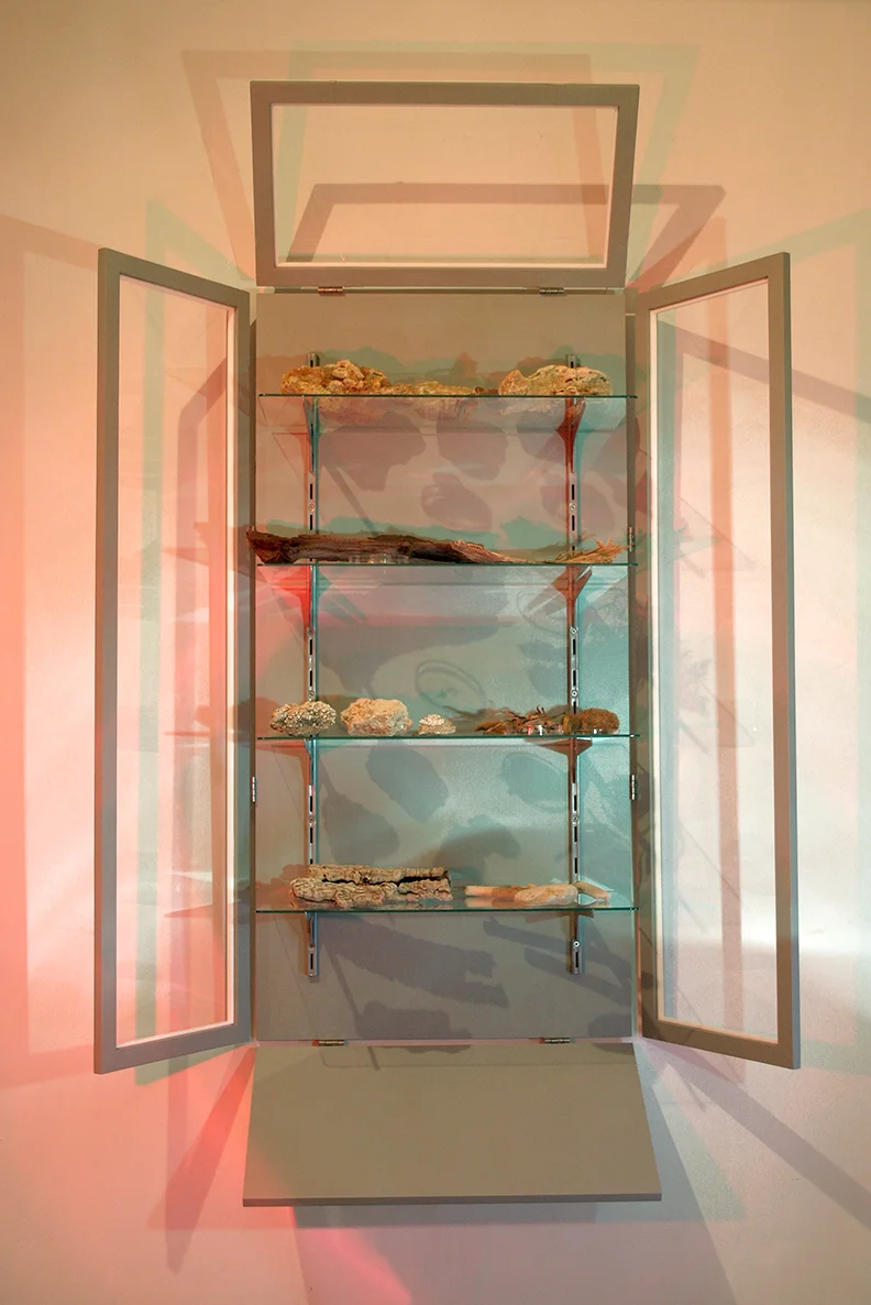 RT-O (open RTO) Wood, perspex, glass, metal shelves, collection of found objects.