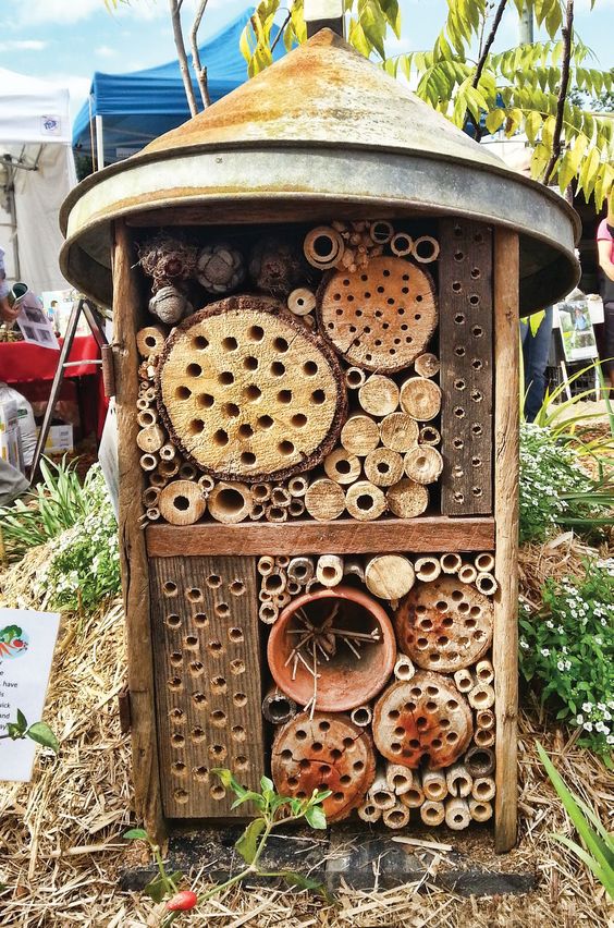 insect hotel.jpg