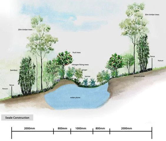 permaculture water resources.jpg