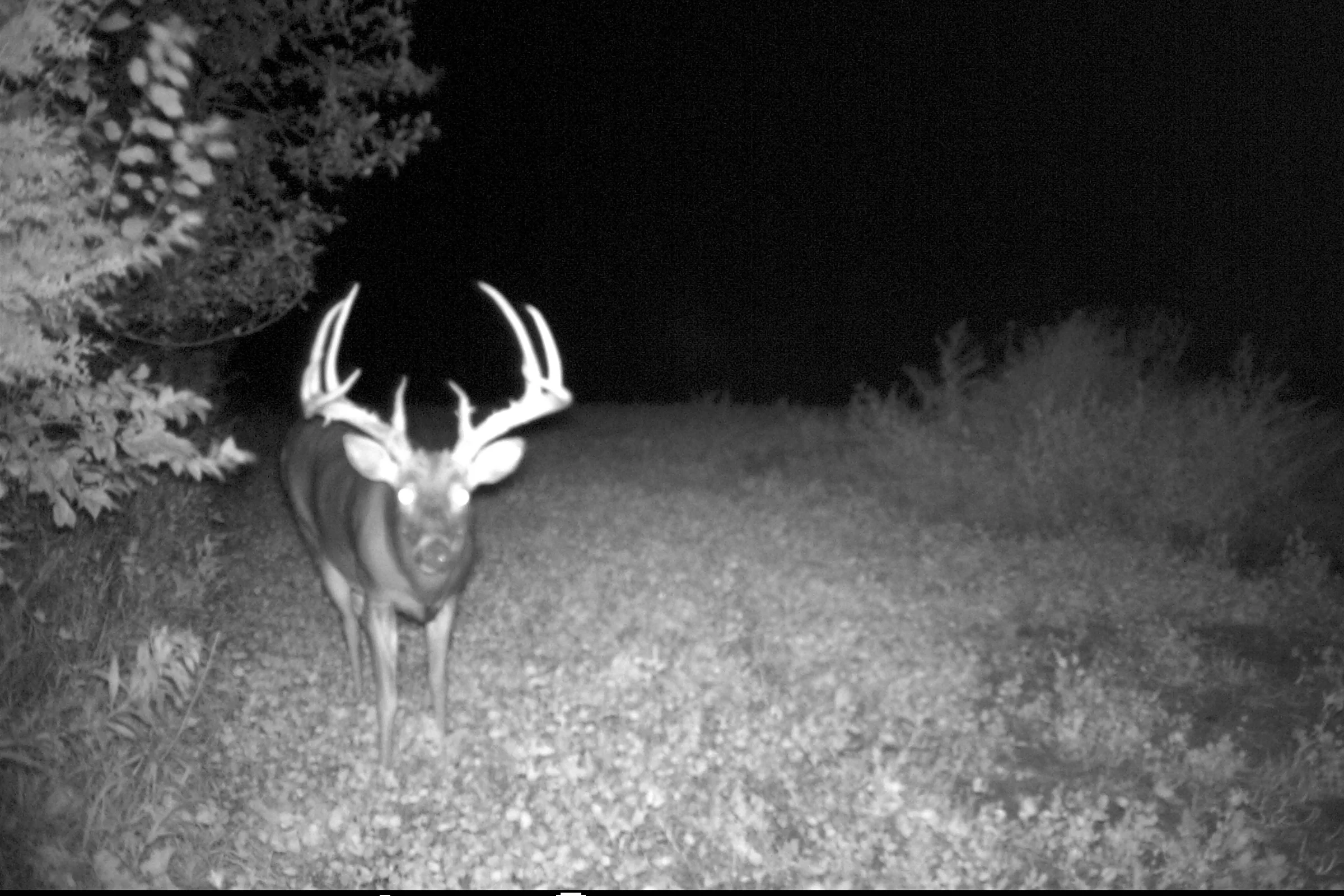 Custom Game Land Services