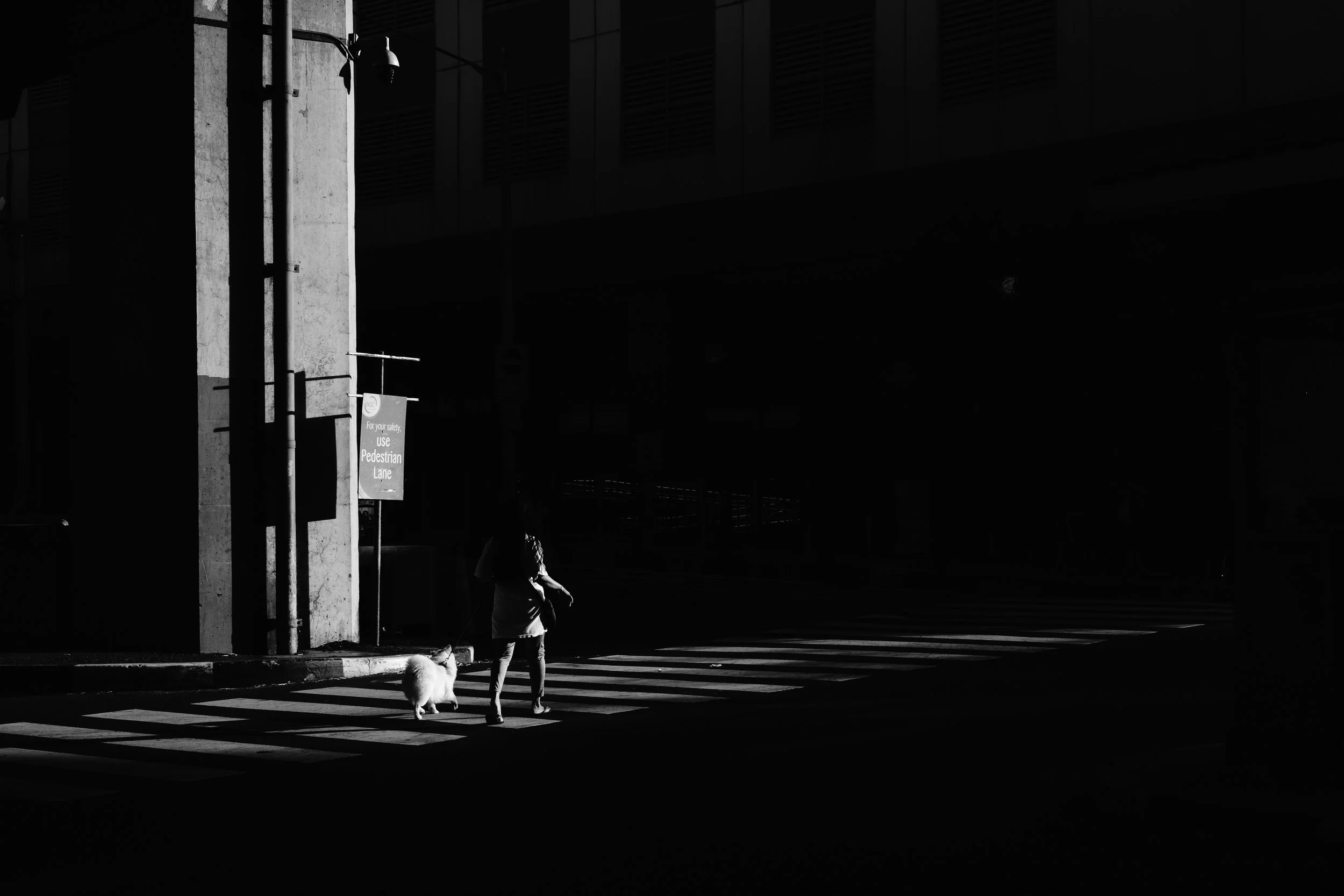 _DSF8208.jpg