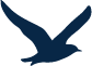 bird.png