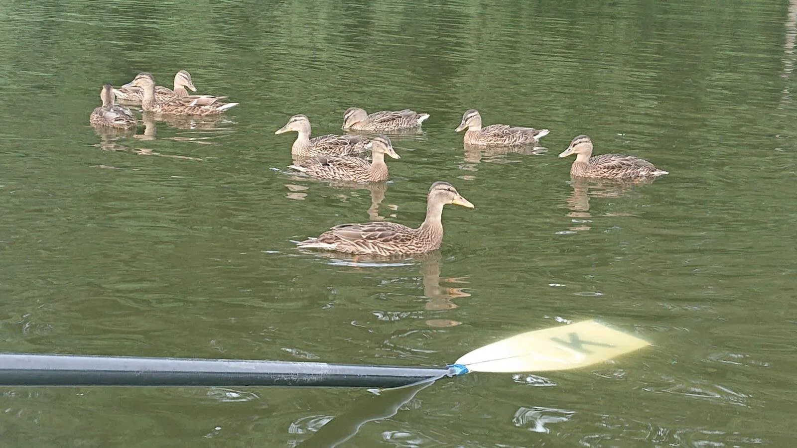 Fahrt nach Zernsdorf