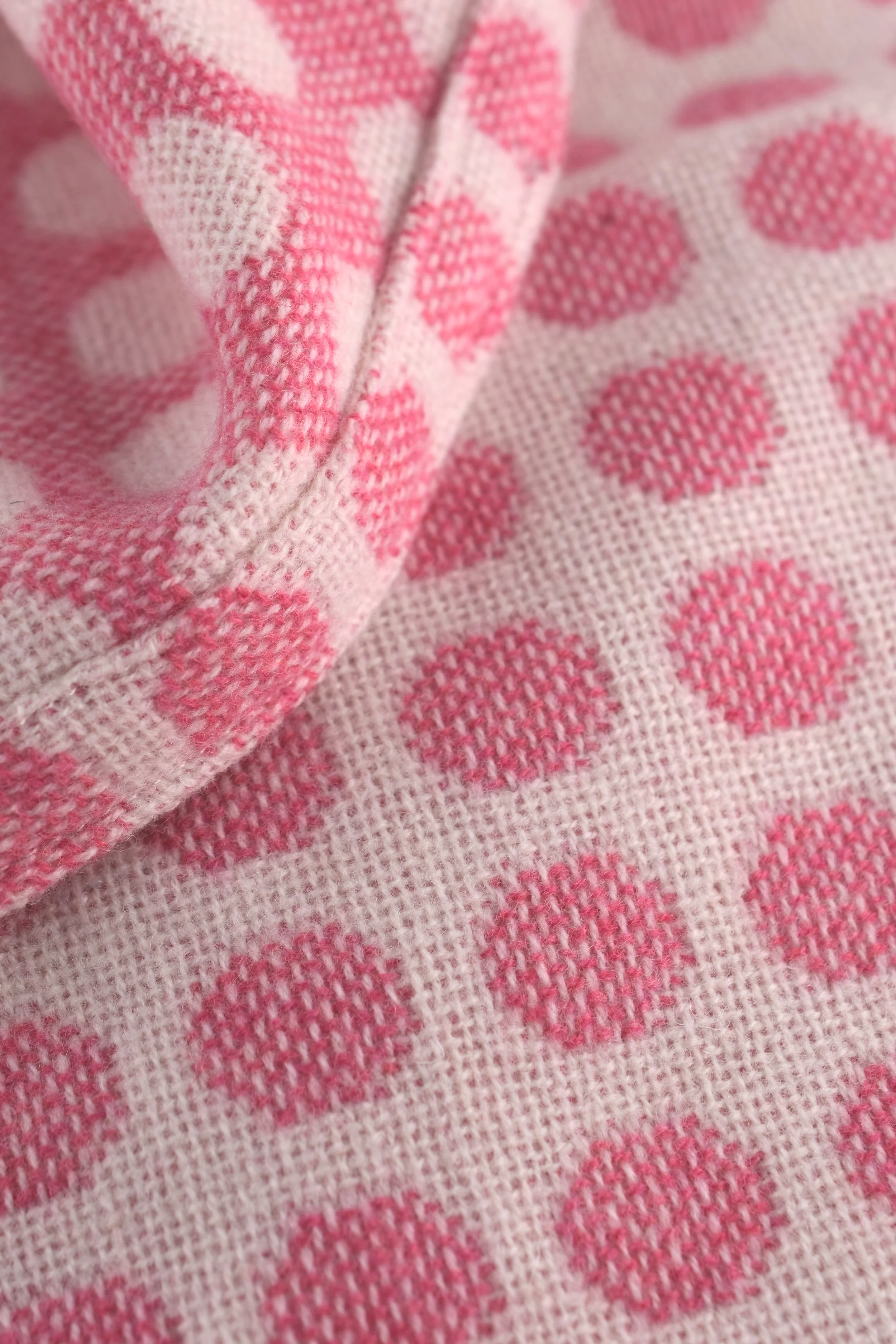 DSC_9404.png