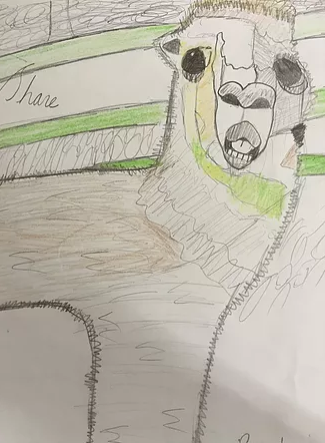  Alternative provision blog