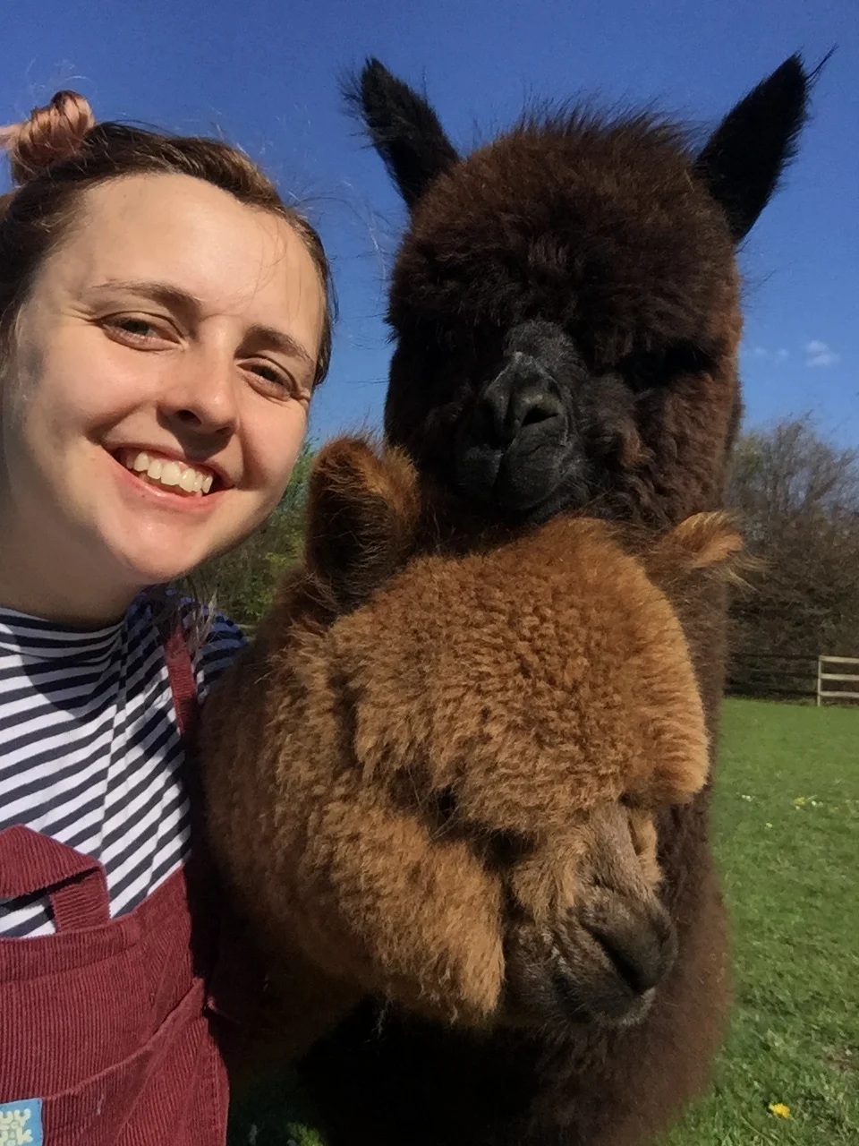 Help out at Hall Farm