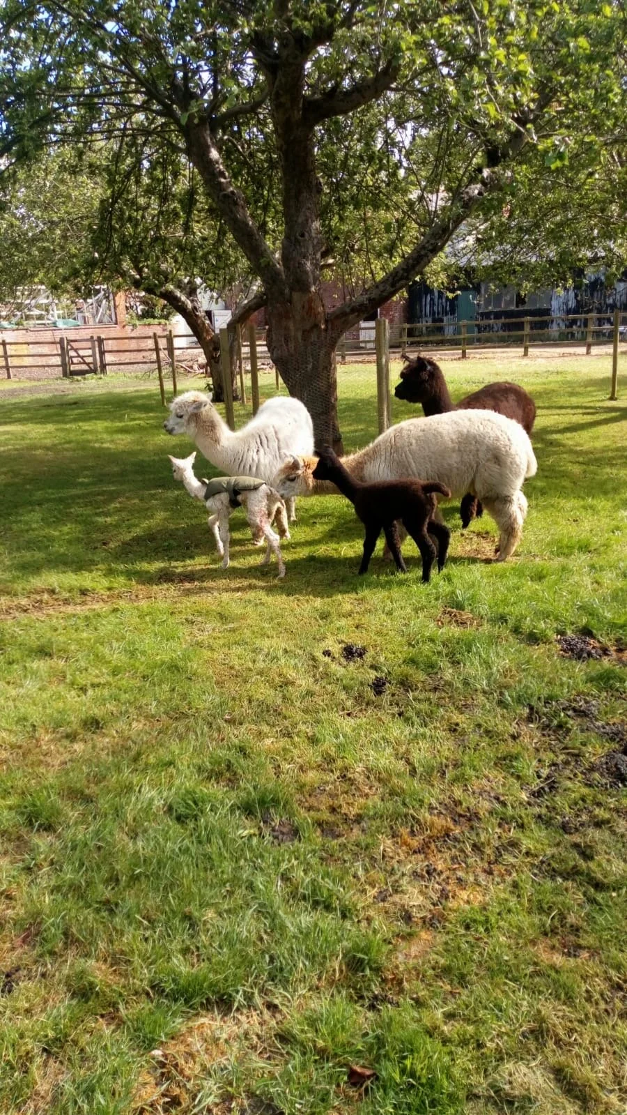 Getting back out - Experiences for the summer. 