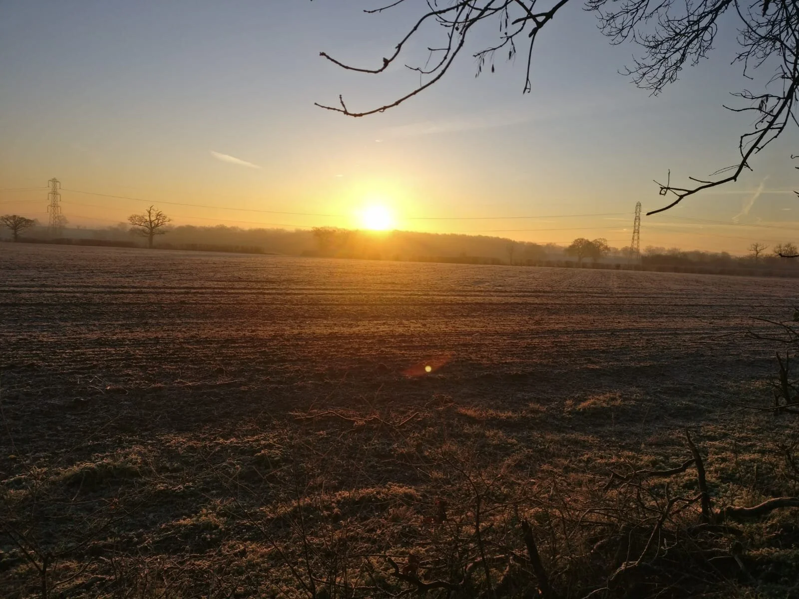 Where has the year gone? Farm Clubs &amp; Alpaca experiences for the autumn