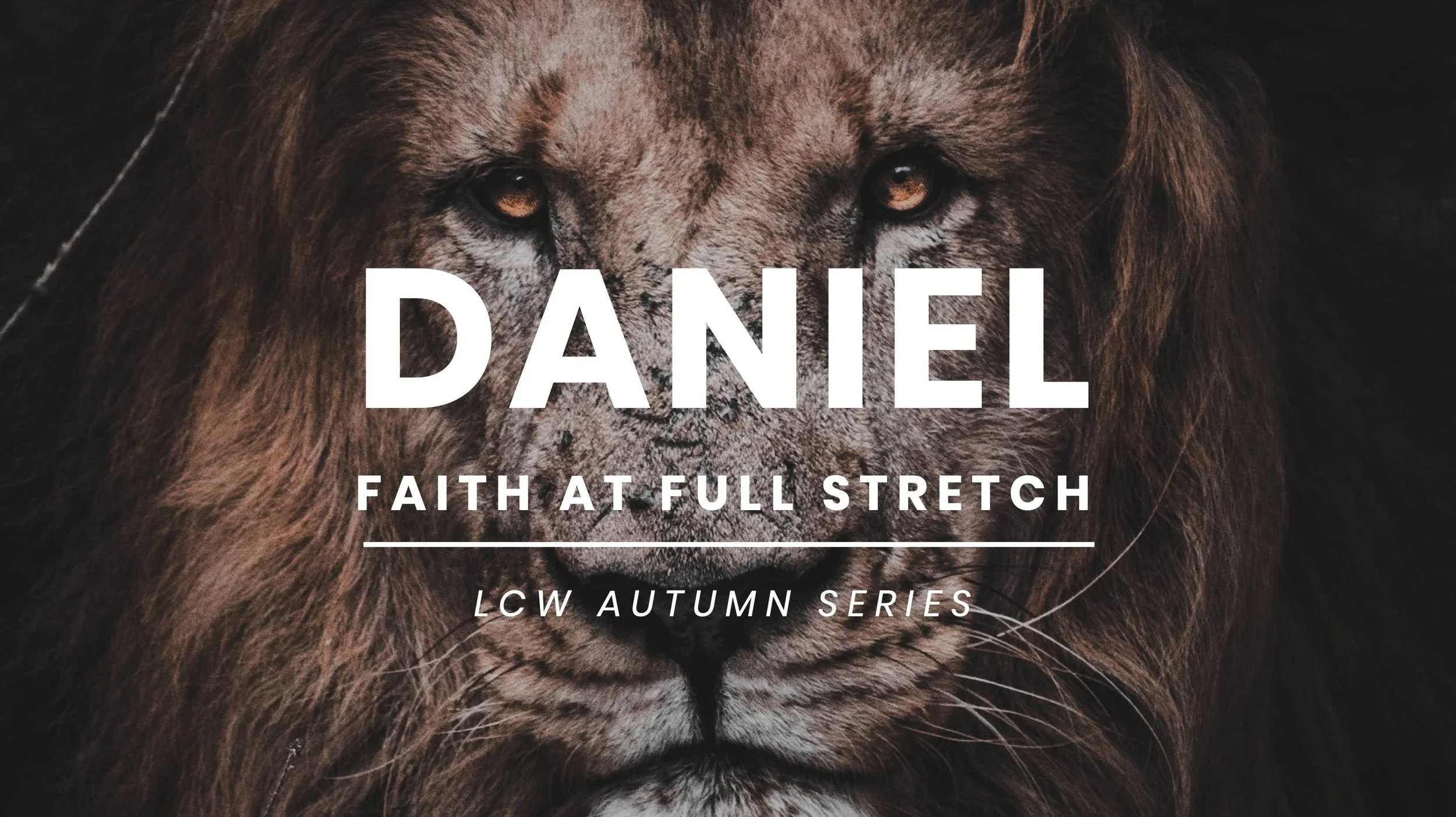 Daniel Poster.jpg