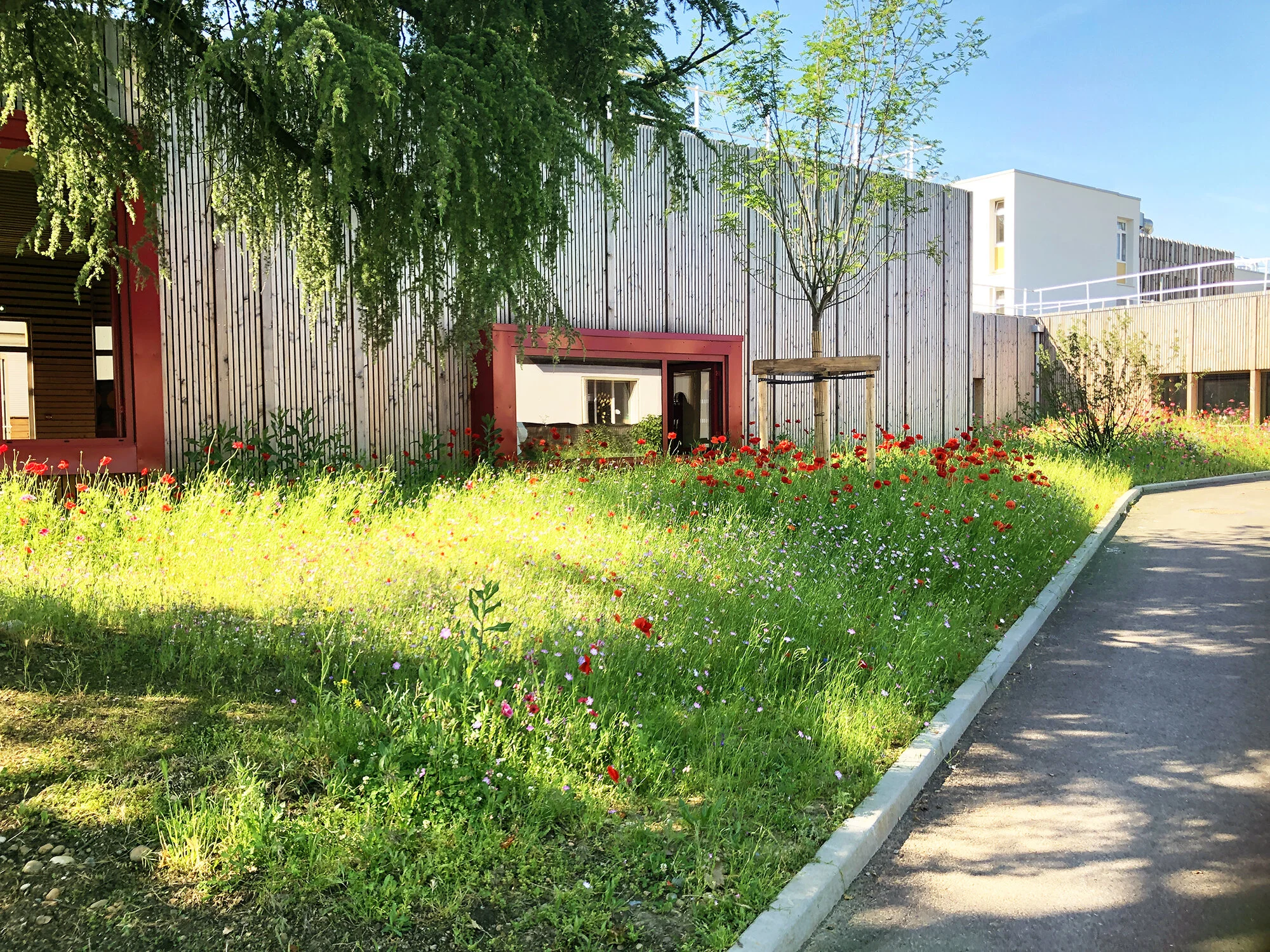 Le groupe scolaire Carreau en fleurs