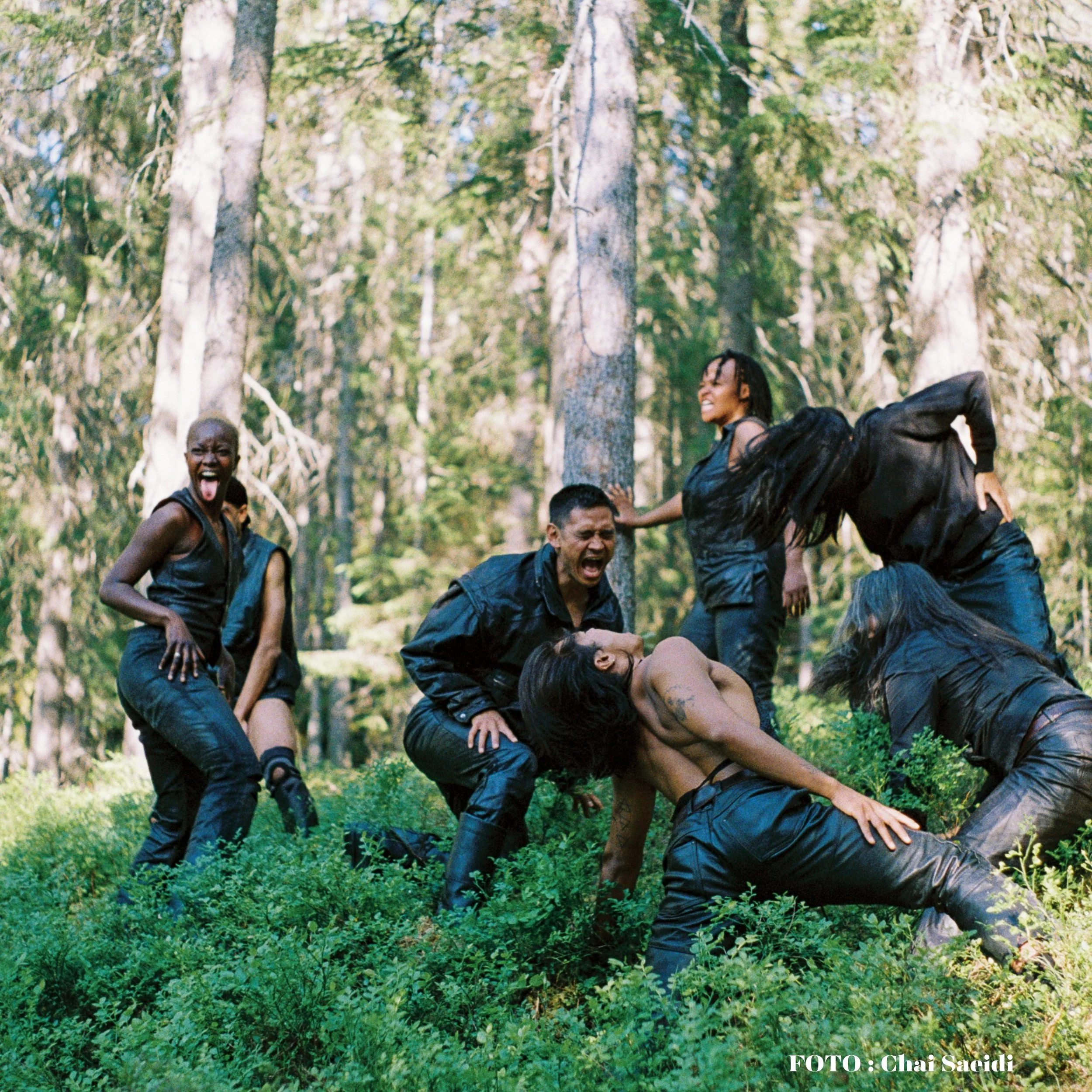 Undersang - Harald Beharie