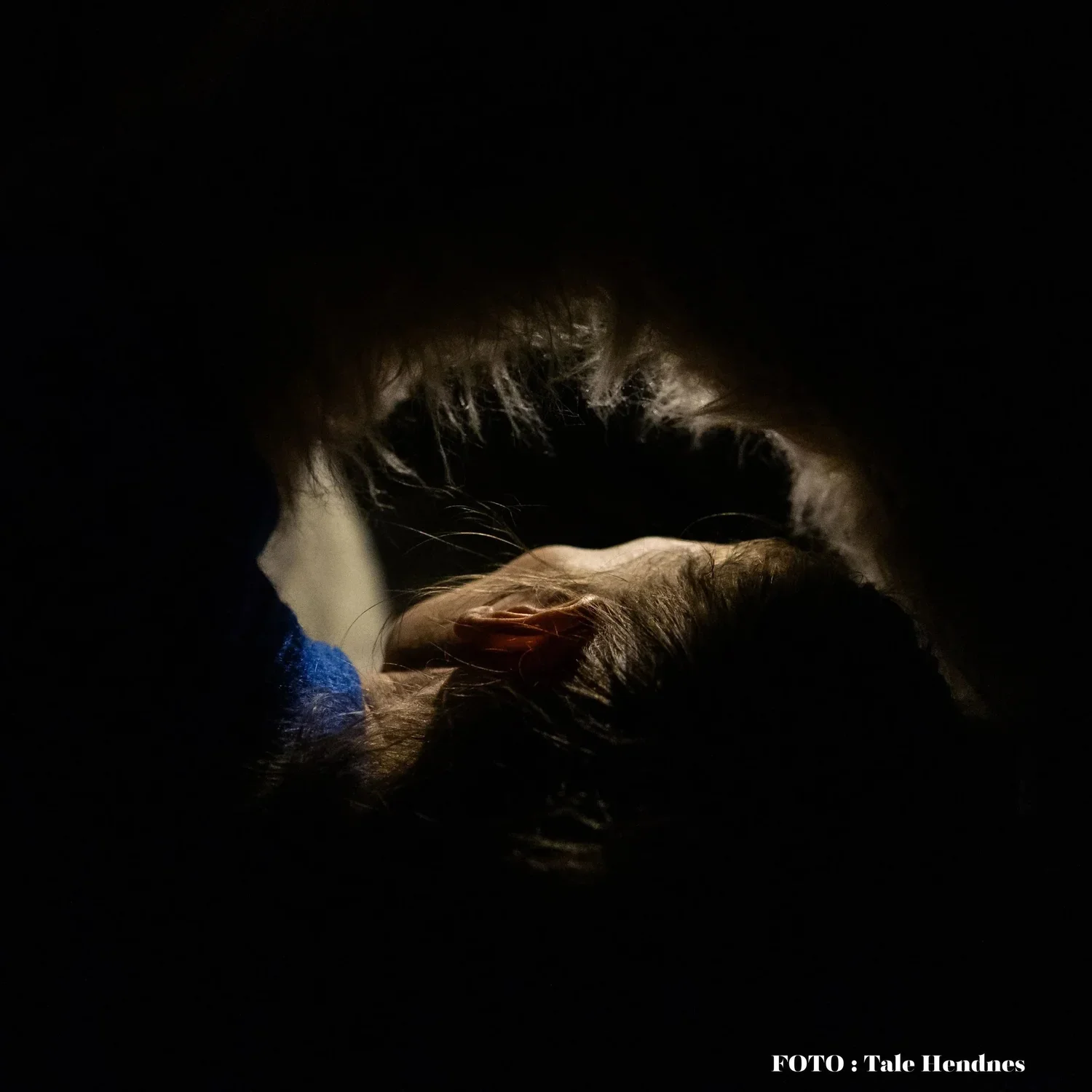 Berstad/Handeland/Helgebostad - Langt Ute og Lengst Inne