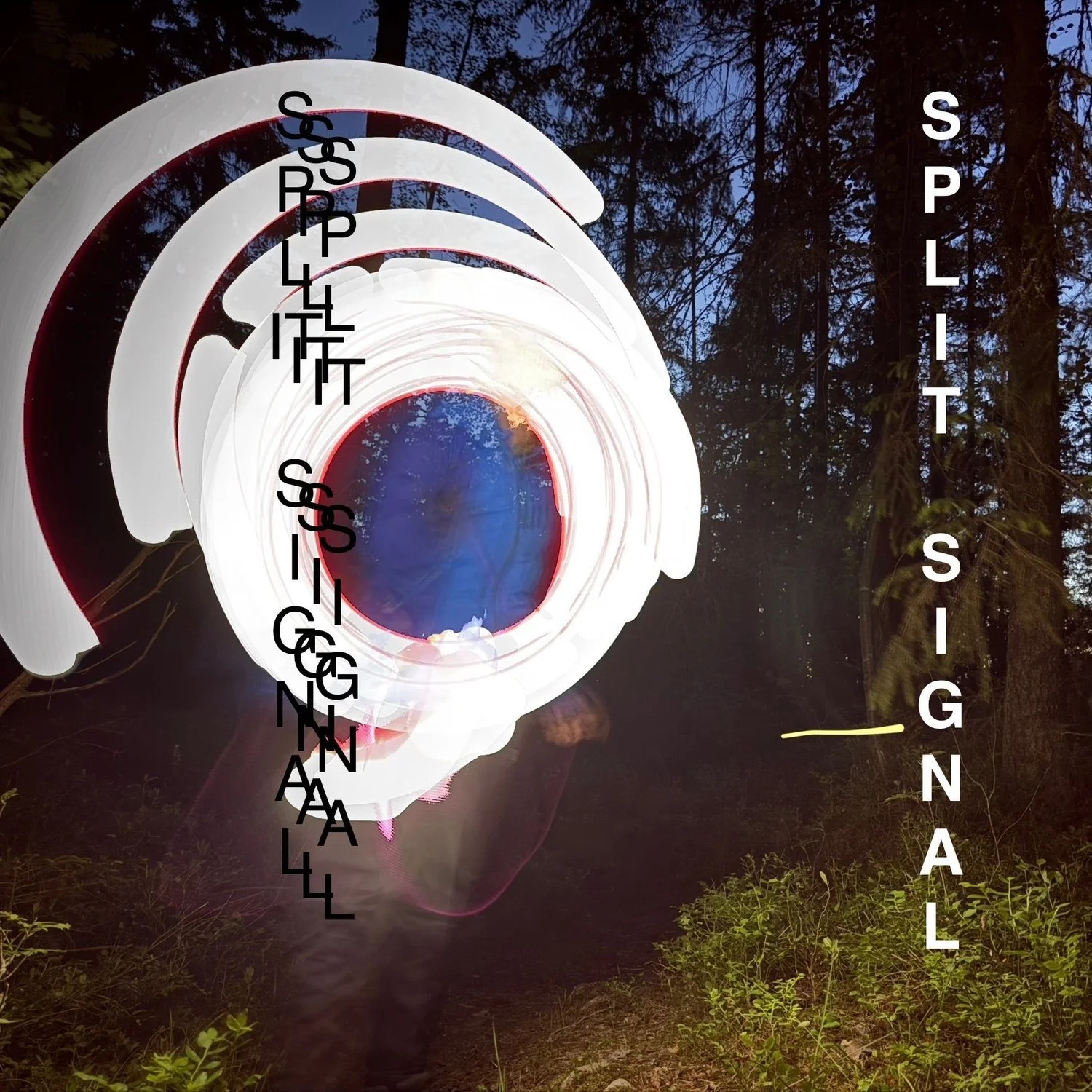 Maggi Asbjørnsen - Lokal Arbeidsvisning: Split Signal