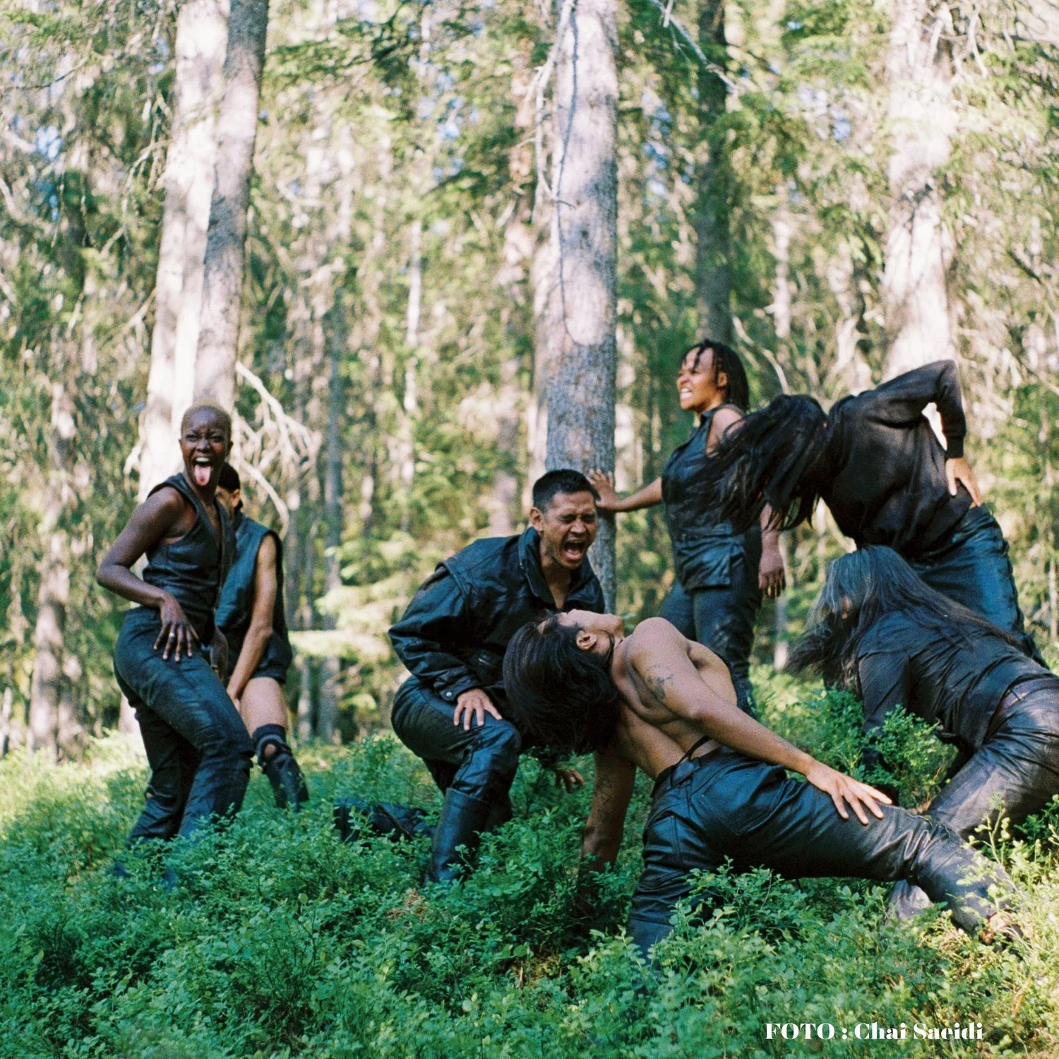 Harald Beharie - Undersang