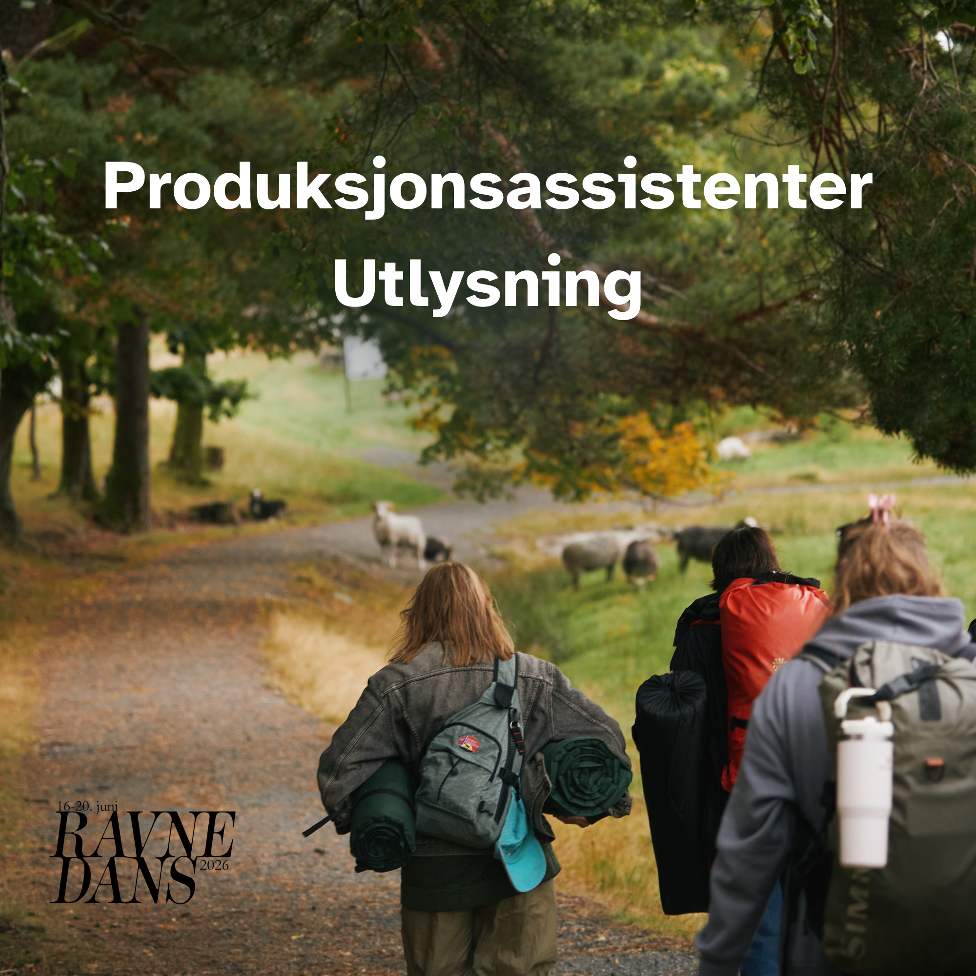 Copy 2 of OPEN CALL PRODUCER ASSISTANTS-3.png