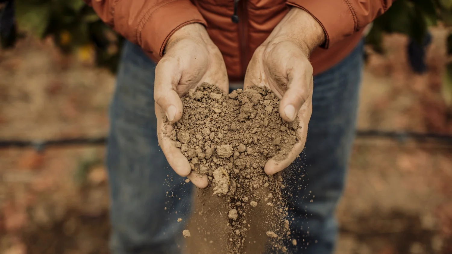 Arista Dirt.jpg