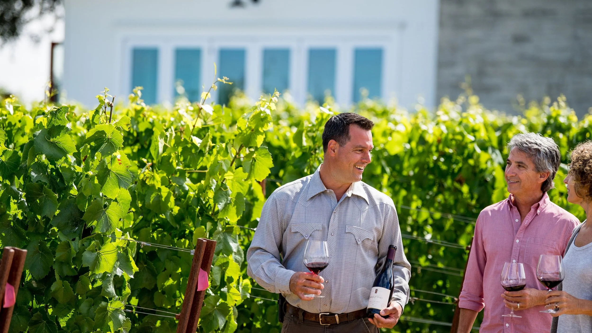 Vigneron Vineyard Tour.jpg